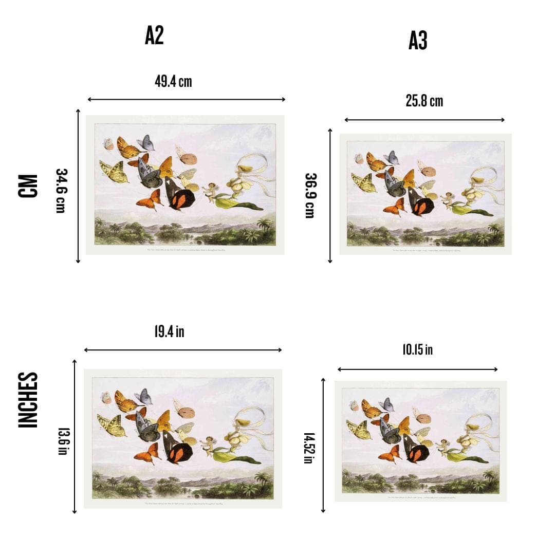 The Fairy Queen Takes an Airy Drive in a Light Carriage, a Twelve-in-hand - Jigsaw Puzzle