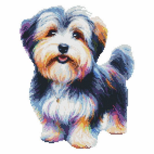 Havanese Dog - Diamond Painting Kit